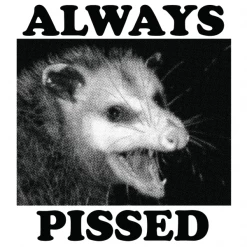 Wicked Clothes 'Always Pissed' Shirt