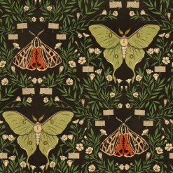 Wicked Clothes 'Floral Moth' High-Waisted Underwear